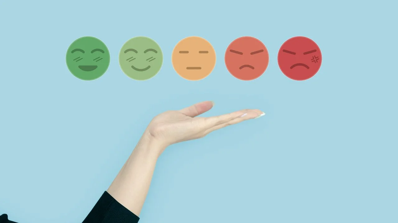 The Effect of Negative Reviews on Accounting Professionals